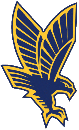 Marquette Golden Eagles 1994-2004 Secondary Logo diy DTF decal sticker